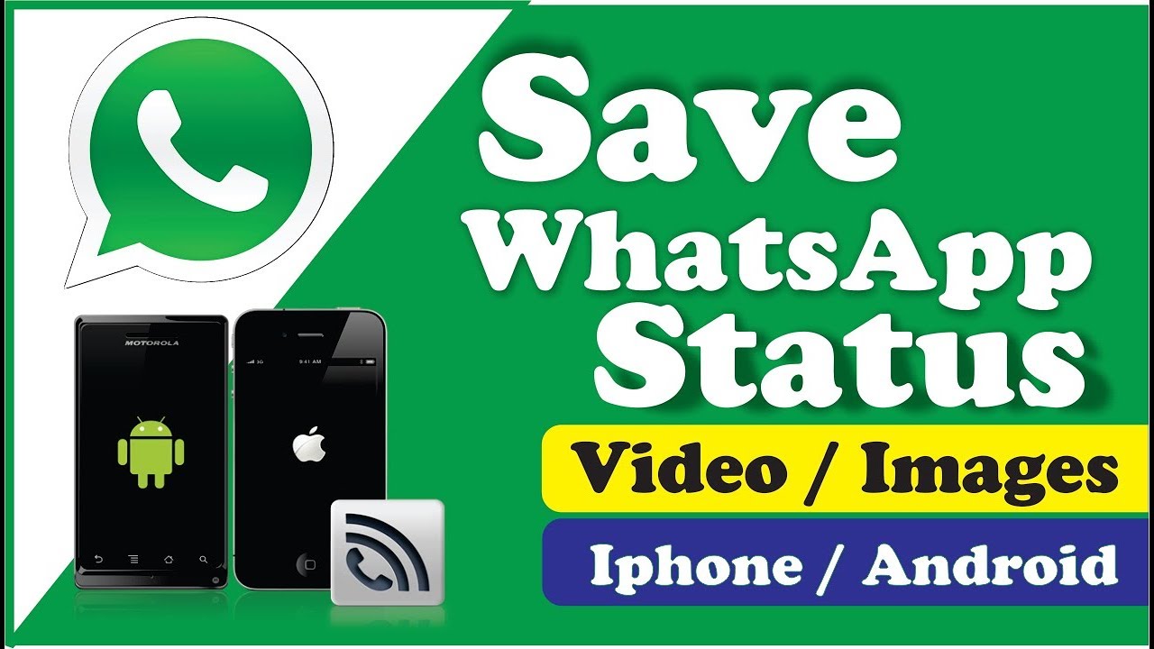 Save Whatsapp Status