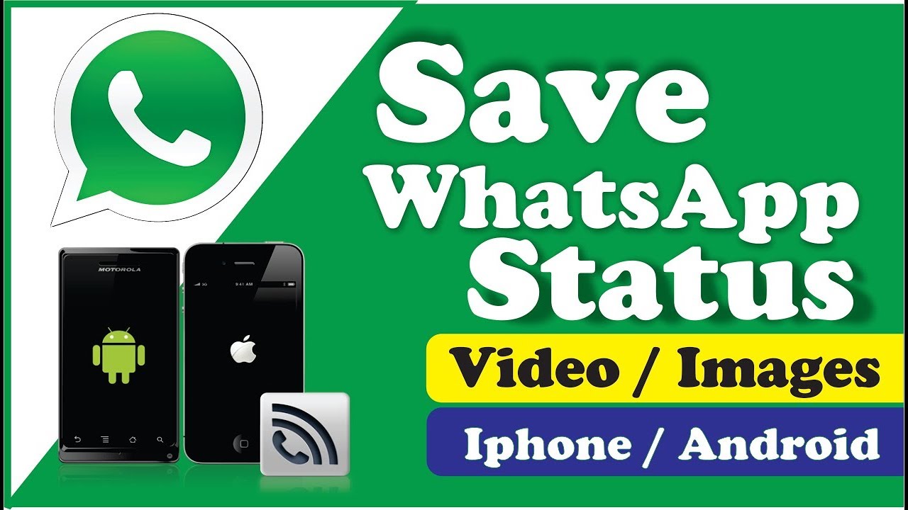 Save Whatsapp Status Video & Image